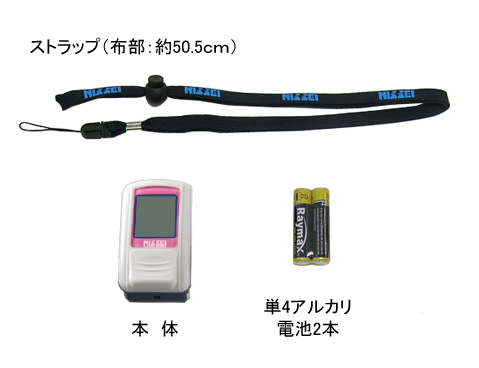 �t���i�ꎮ